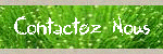 Contactez Nous